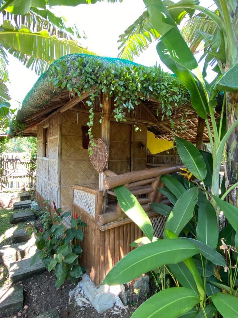 Dupas Luce Love Lodges Talipan Εξωτερικό φωτογραφία